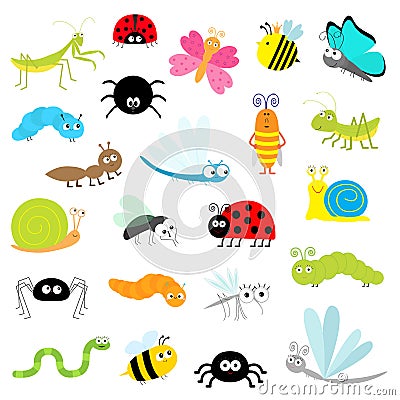 Insect icon set. Mantis Lady bug Mosquito Butterfly Bee Grasshopper Beetle Caterpillar Spider Cockroach Fly Snail Dragonfly Ant Vector Illustration