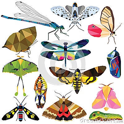 Insect set Vector Illustration