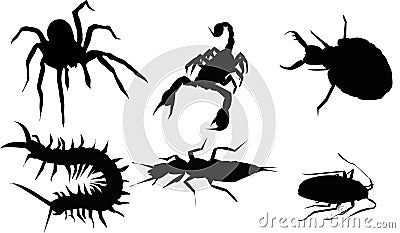 Insect silhouette Stock Photo