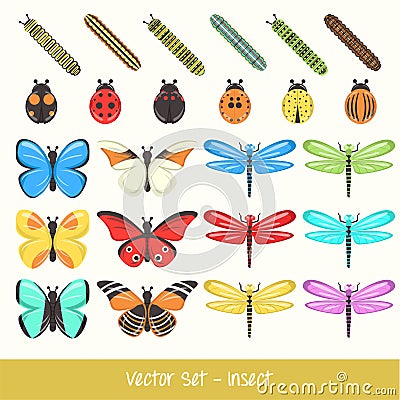 Insect Vector Set Vector Illustration