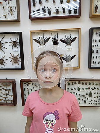 The insectarium on the wall surprised the little girl very much. Emotions. Stock Photo