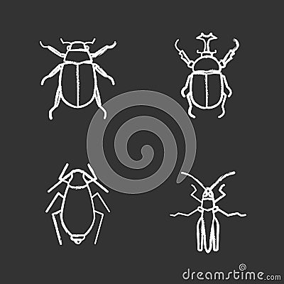 Insects chalk icons set Vector Illustration