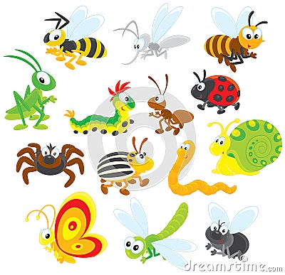 Insects Vector Illustration