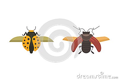 Insects flat style vector design icons. Collection nature beetle and zoology cartoon illustration. Bug icon wildlife Vector Illustration