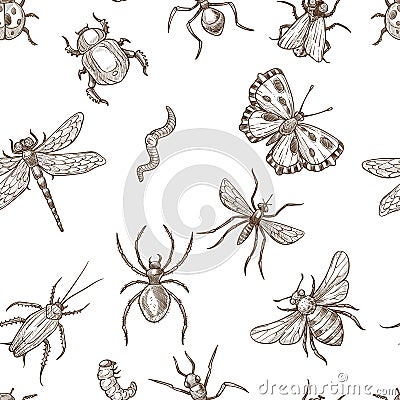 Insects that fly and creep monochrome sepia sketches seamless pattern. Vector Illustration