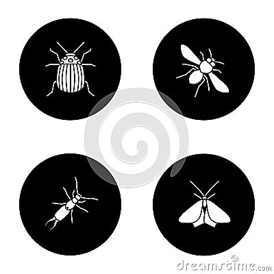 Insects glyph icons set Vector Illustration