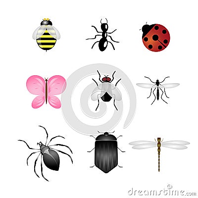 Insects icons set Vector Illustration