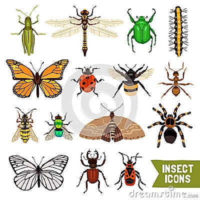 Insects Icons Set Vector Illustration
