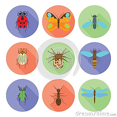 Insects icons vector flat style on white background. Vector Illustration