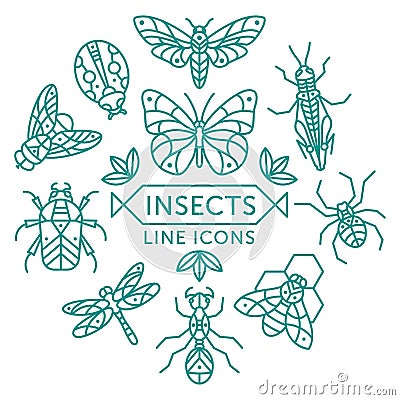 Insects line icons Vector Illustration