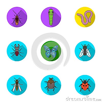 Insects set icons in flat style. Big collection of insects vector symbol stock illustration Vector Illustration