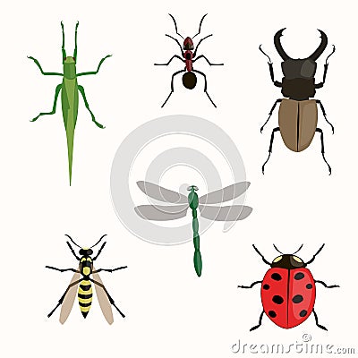 Insects set Vector Illustration