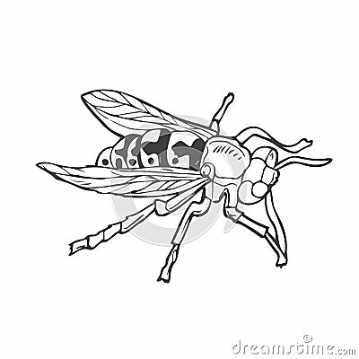 insects, wasps in the style of doodles. Vector. Line art bee hand-drawn Vector Illustration