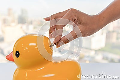 Inserting the coin to duck bank Stock Photo