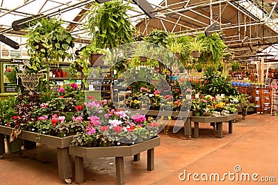 Garden center Stock Photo