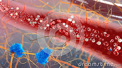 Inside the blood vessel, white blood cells inside Stock Photo