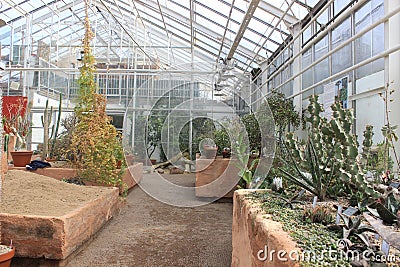 Inside the cactus room of Gothenburg botanical garden, cactus, plants, desert, succulent Editorial Stock Photo