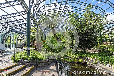 Inside of David Welch winter gardens near the main entrance in Duthie Park, Aberdeen Stock Photo