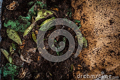 A DIY worm farm composting bin in an apartment Stock Photo