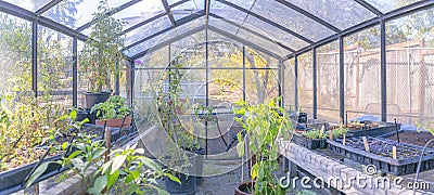 Inside a glass greenhouse with potted plants and nurseries in California Stock Photo