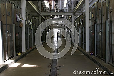 Inside the hallway of an animal shelter showing cages Stock Photo