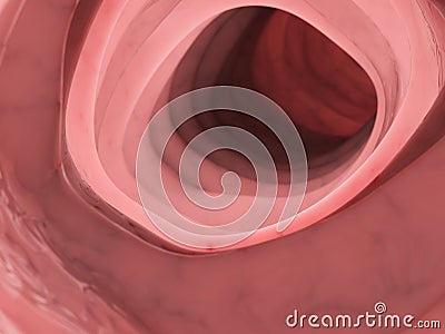 The inside of the human colon Cartoon Illustration