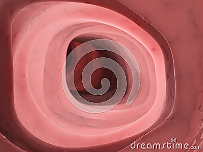 The inside of the human colon Cartoon Illustration
