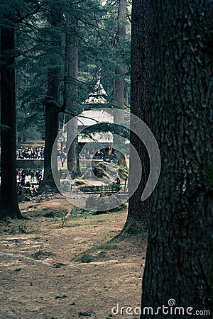 A Distant Image of Hadimba Temple situated Inside a Pine Tree Forest Editorial Stock Photo