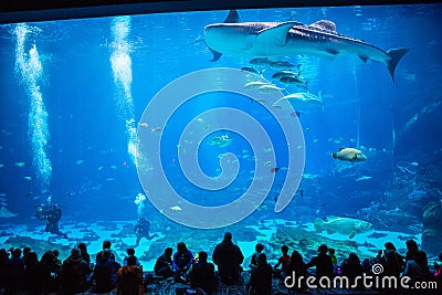 Inside shot of an aquarium Stock Photo