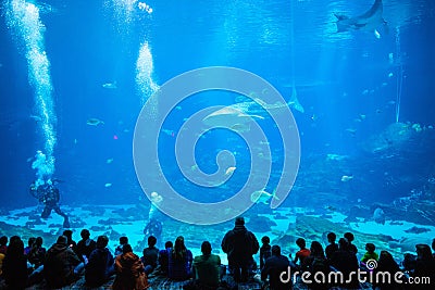 Inside shot of an aquarium Editorial Stock Photo