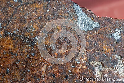 Inside slice of Chondrite Meteorite L Type isolated, piece of rock formed in outer space in the early stages of Solar System as Stock Photo