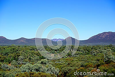 Inside Wilpena Pound, Flinders Ranges Stock Photo