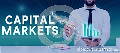 Hand writing sign Capital Markets. Internet Concept Allow businesses to raise funds by providing market security Stock Photo