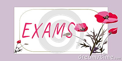Text caption presenting Exams. Business approach test of a specified kind to prove your strength and weakness Stock Photo