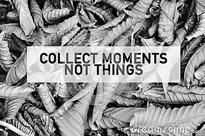 Inspirational motivating quote of collect moments not things on full frame dried leaves in black and white Stock Photo