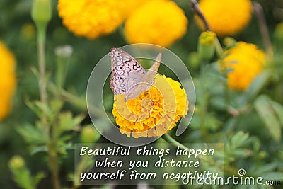 Inspirational motivational quote - Beautiful things happen when you distance yourself from negativity. Stock Photo