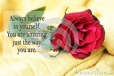 Inspirational motivational quote - Always believe in yourself. You are amazing just the way you are. With single red rose lying. Stock Photo