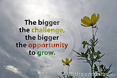 Inspirational motivational quote - The bigger the challenge, the bigger the opportunity to grow. With yellow wild cosmos flowers Stock Photo