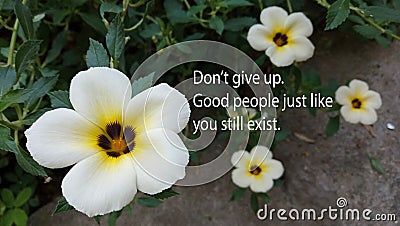 Inspirational motivational quote - Do not give up. Good people just like you still exist. With nature wildflowers background Stock Photo