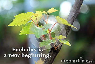 Inspirational motivational quote - Each day is a new beginning. With new life of green young leaves growth on a vine. New start. Stock Photo