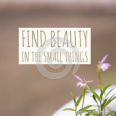 Inspirational motivational quote `Find beauty in the small things` Stock Photo