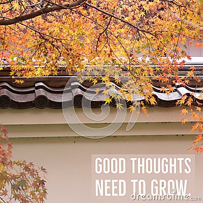 Inspirational motivational quote `Good thoughts need to grow` Stock Photo