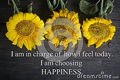 Inspirational motivational quote - I am in charge of how i feel today. I am choosing happiness. With yellow sun flowers on rustic Stock Photo