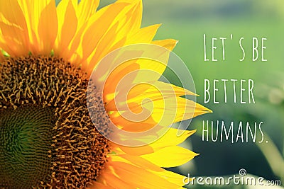 Inspirational motivational quote - Lets be better humans. With beautiful sunflower closeup on a green background. Stock Photo