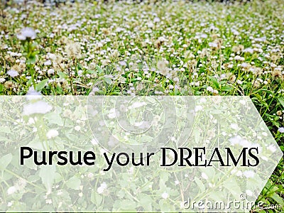 inspirational and motivational quote of pursue your dream with green color background. Stock photo. Stock Photo