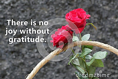 Inspirational quote - There is no joy without gratitude. With bouquet of red roses on in wooden basket on black background. Stock Photo