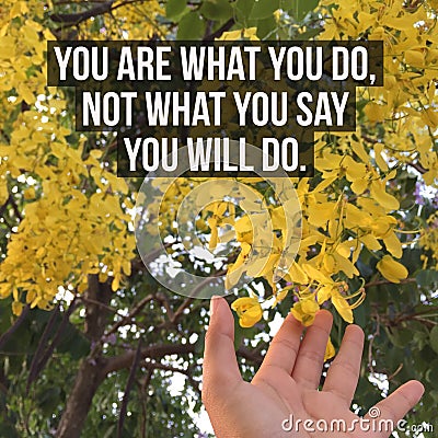 Inspirational motivational quote `You are what you do,not what you say you will do.` Stock Photo