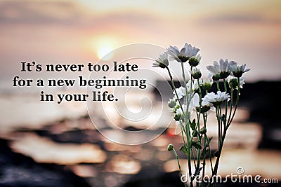 Inspirational motivational words - It is never too late for a new beginning in your life. With daisy flowers on sunset background Stock Photo