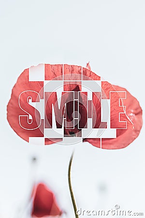 Inspirational poster Smile red poppy blue background Stock Photo