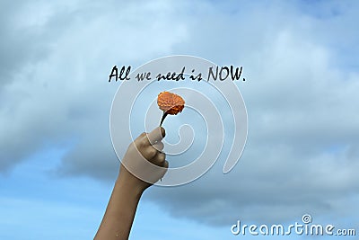 Inspirational quote - All we need is now. Motivational words concept with hand holding a flower against bright blue sky background Stock Photo